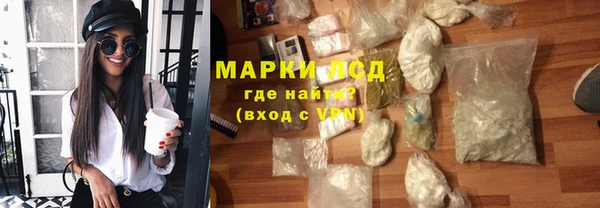 индика Новозыбков