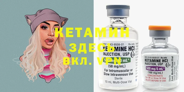 индика Новозыбков