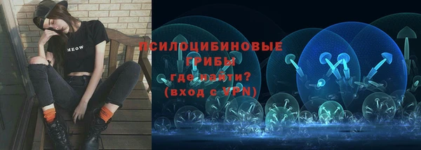 дурь Новодвинск