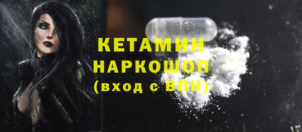 индика Новозыбков