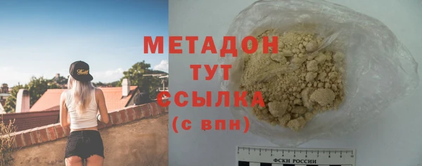 индика Новозыбков