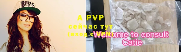 индика Новозыбков
