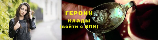 индика Новозыбков