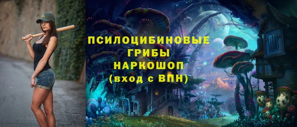 дурь Новодвинск