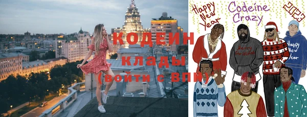 индика Чердынь