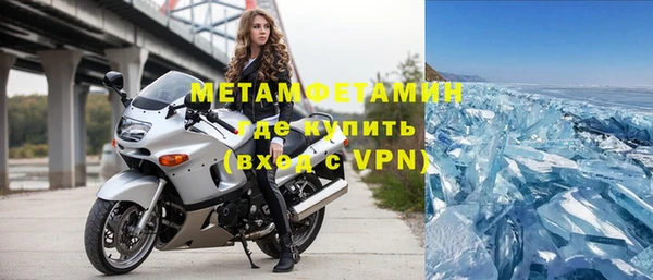 индика Новозыбков