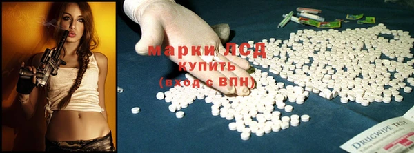 индика Новозыбков