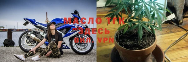 индика Новозыбков