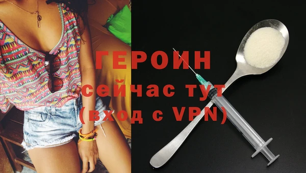 индика Новозыбков