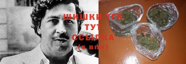 дурь Новодвинск