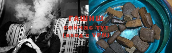 индика Новозыбков
