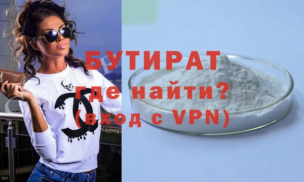 индика Новозыбков